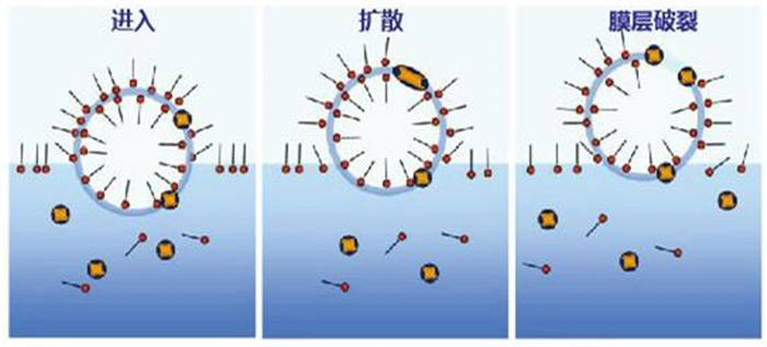 （圖：南輝消泡劑消泡原理）